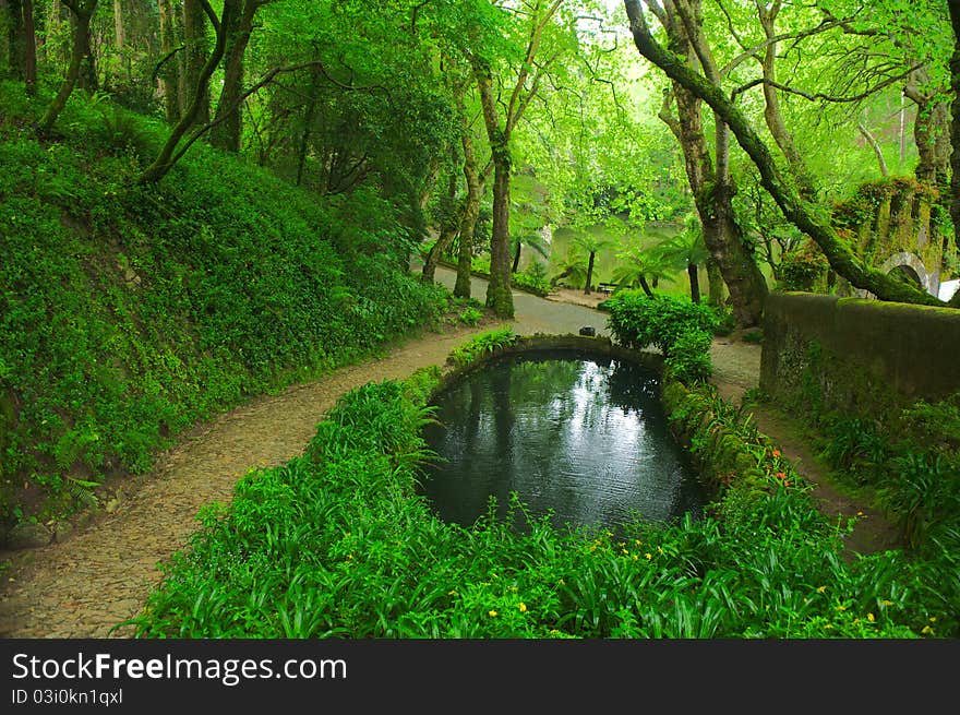 Lake in the Royal Pena park, Pena, Portugal