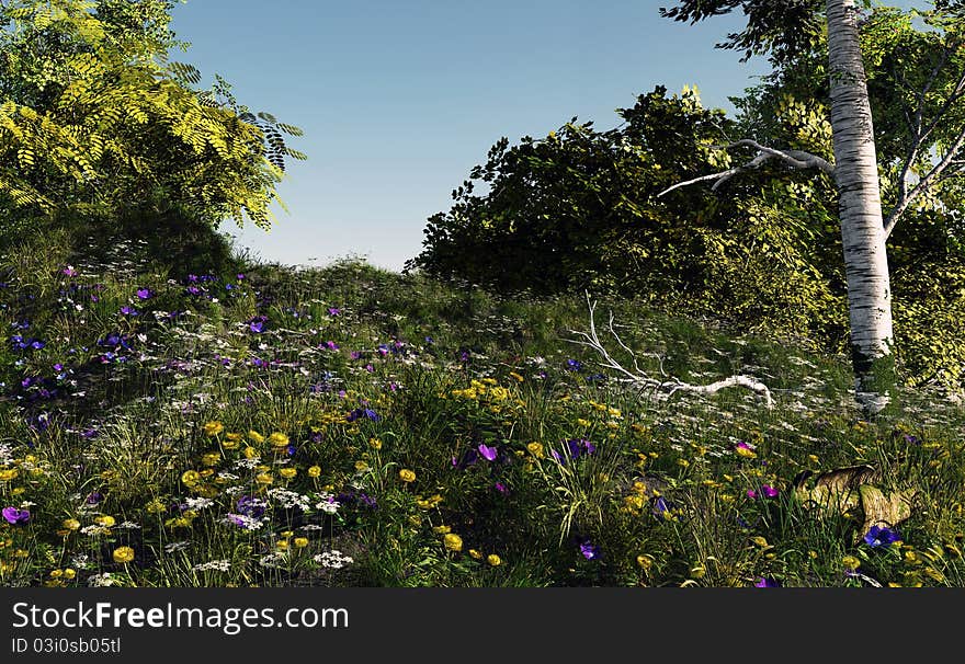 A field of flowers on a hill. A field of flowers on a hill