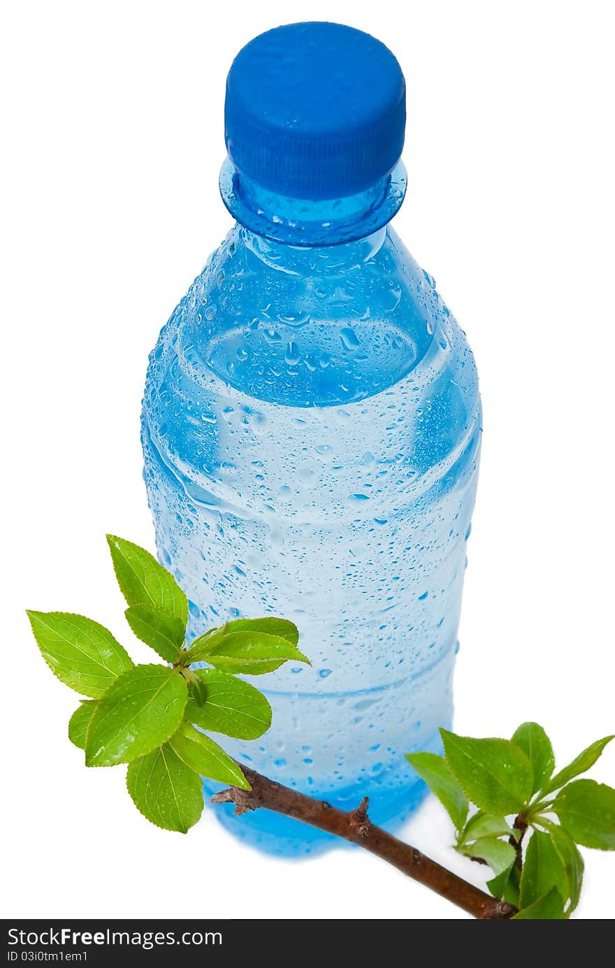 Bottle of water with green apple branch