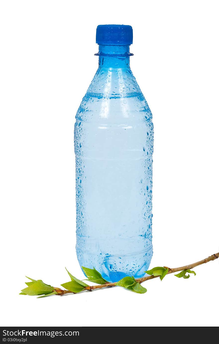 Bottle Of Water With Green  Branch