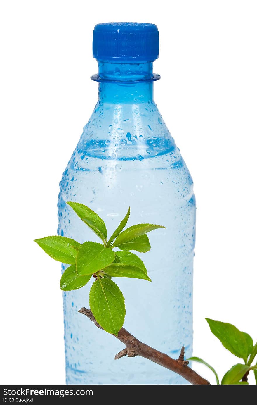 Bottle of water with green apple branch