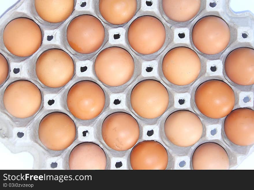 Chicken brown egg closeup in the package