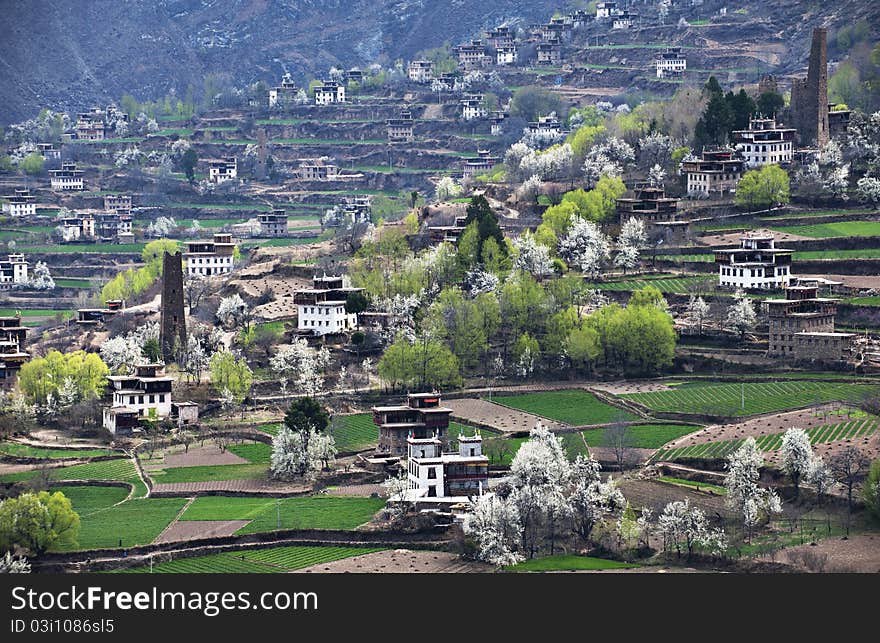 The spring color of the Tibetan villages