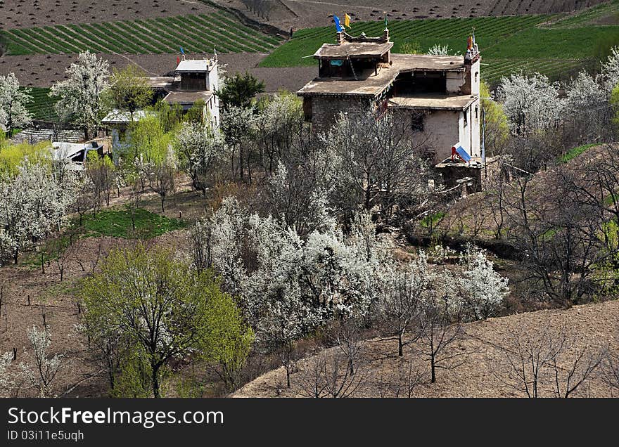 Tibetan village