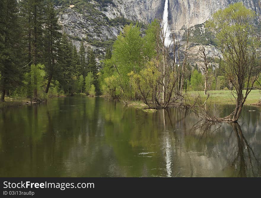 Trees reflected in the swollen Merced River in Yosemite Valley view from Swinging Bridge in Yosemite National Park in California. Trees reflected in the swollen Merced River in Yosemite Valley view from Swinging Bridge in Yosemite National Park in California