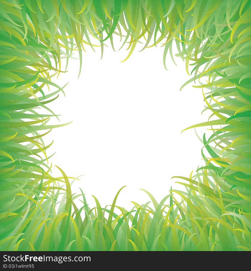 Green grass with background, Vector