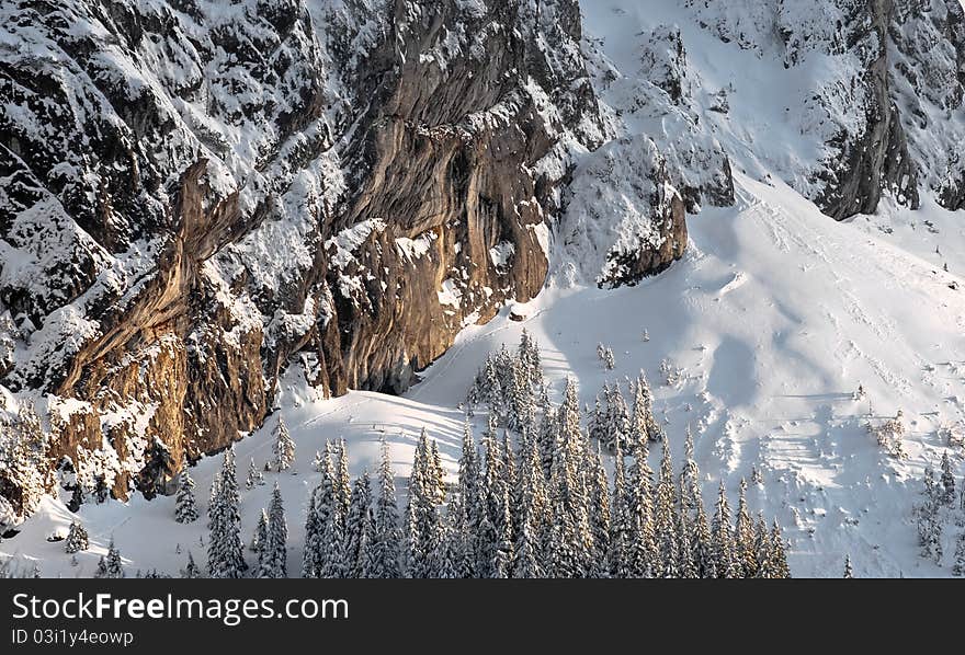 Sunset on a cliff with snow and trees. Sunset on a cliff with snow and trees