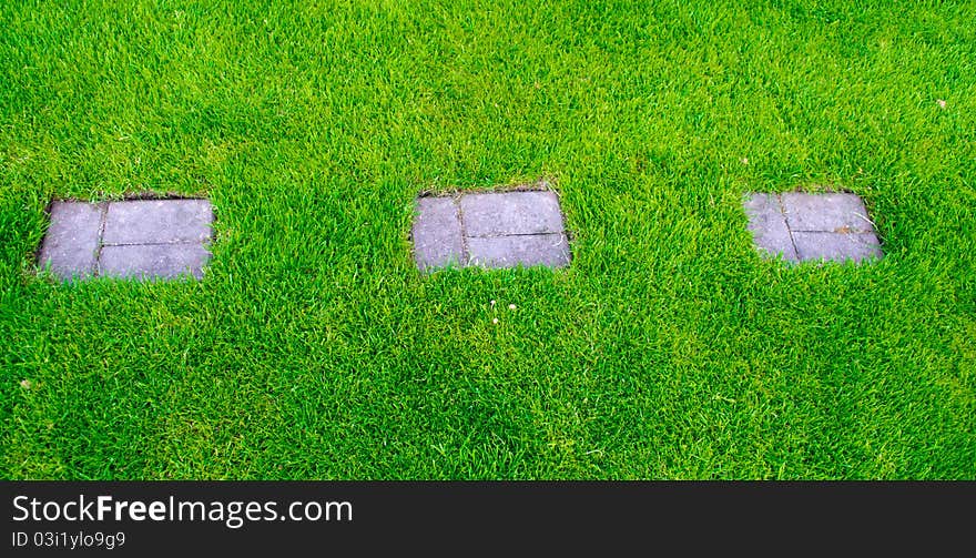 Footpath on a green grass. Footpath on a green grass