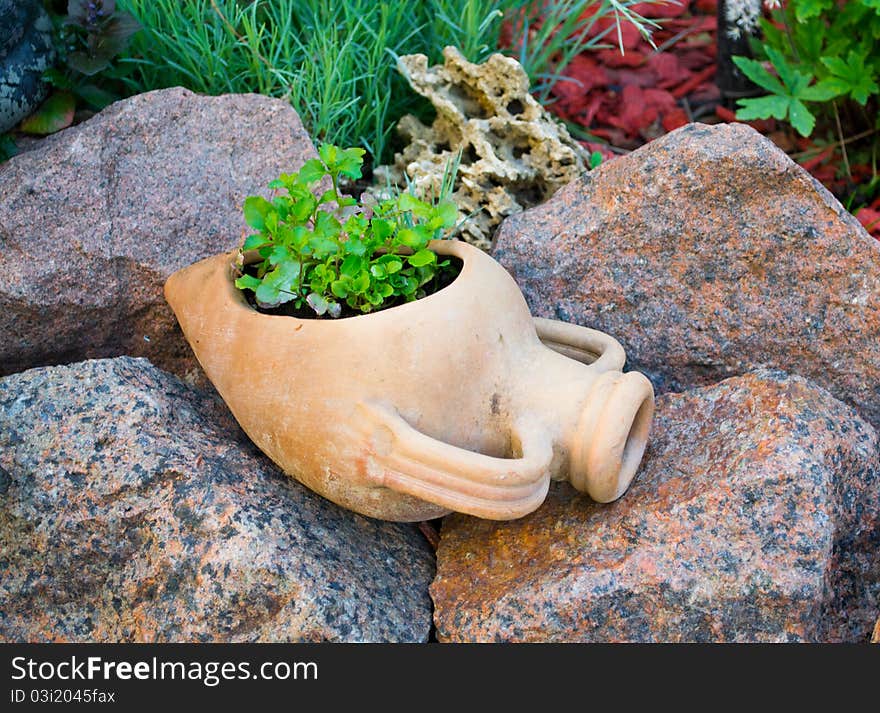 Decorative jug with plants. NATURE.