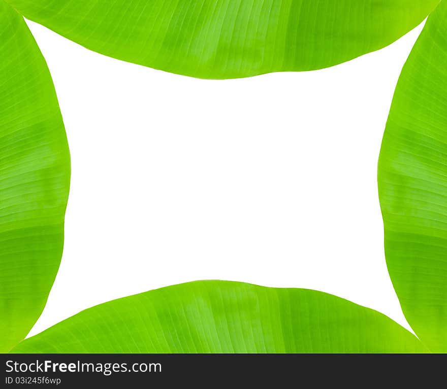 Banana leaf frame on white