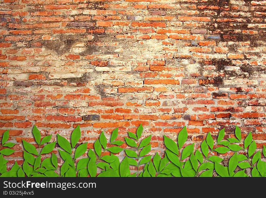 Leaves wood covered brick wall