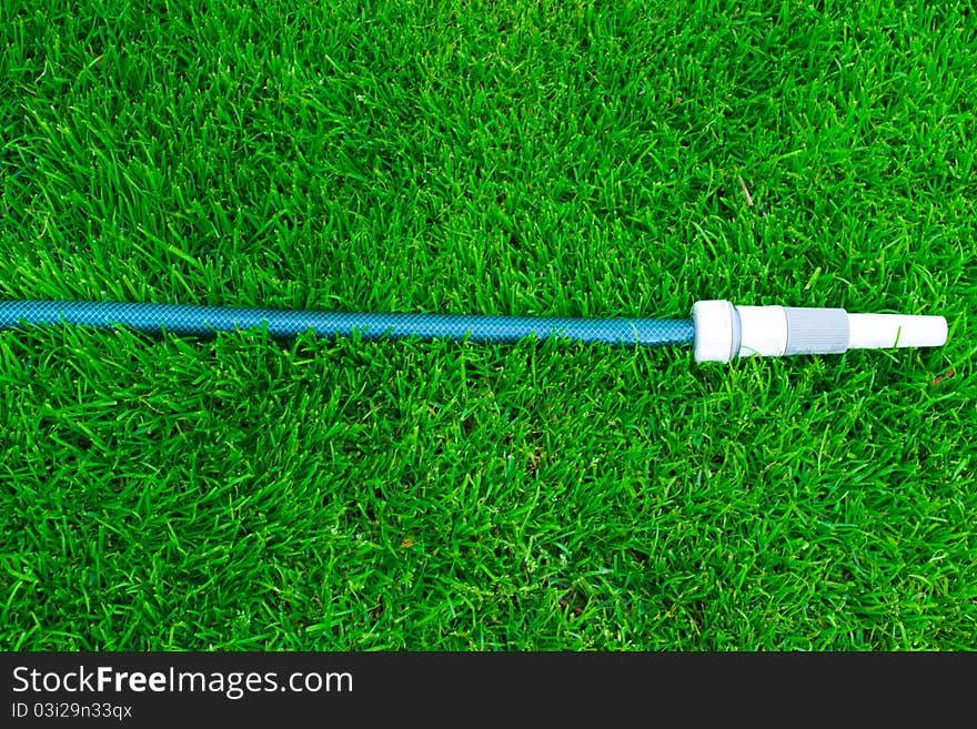 Blue hose on the green grass.