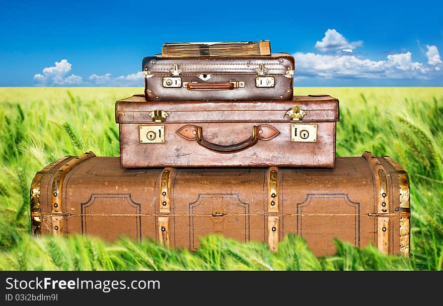 Green wheat field with three old leather suitcases