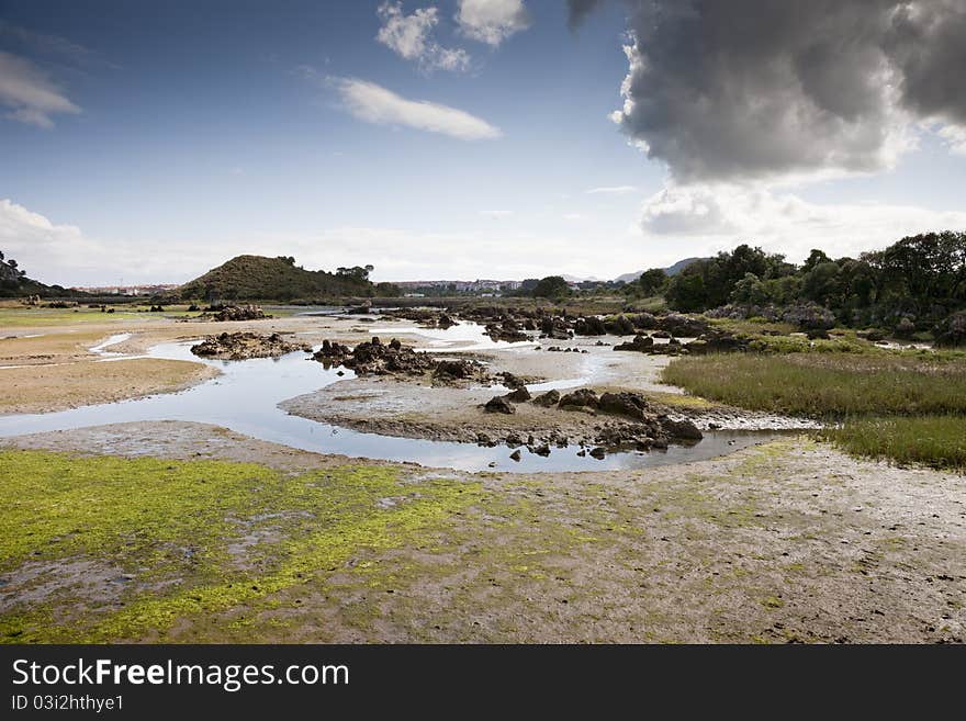 Low tide on the marsh