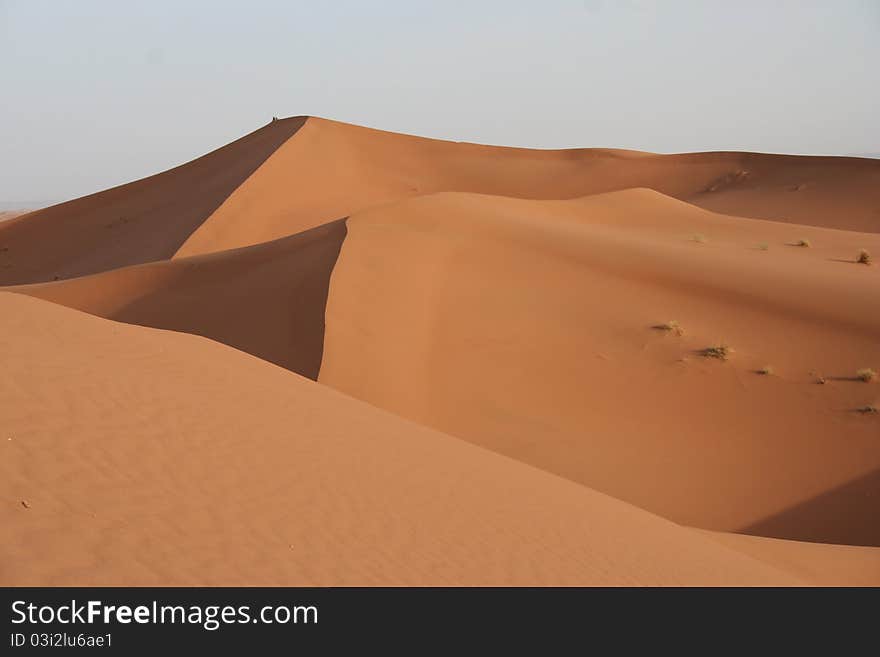 Dune on the sahara