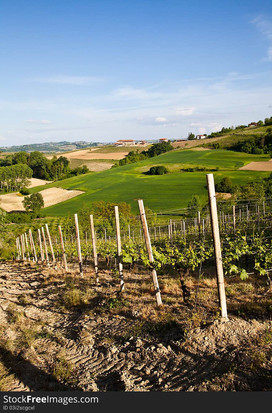 Landscape of Monferrato area in Piedmont region - Italy. Landscape of Monferrato area in Piedmont region - Italy