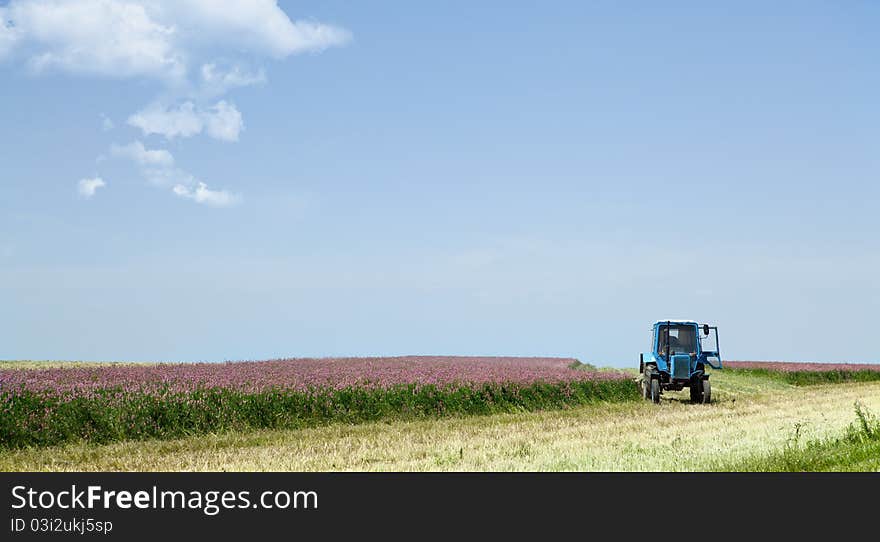 Tractor mowing a field crop