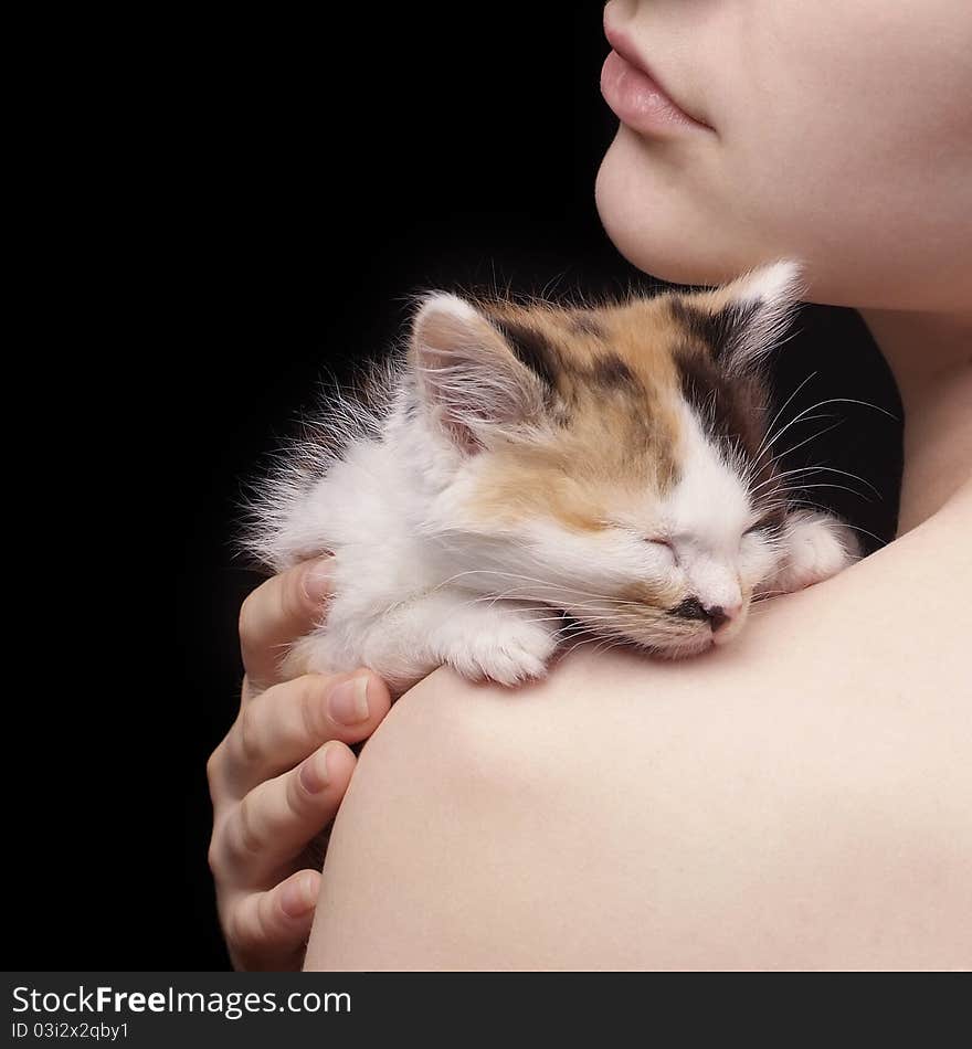 Tricolor kitten