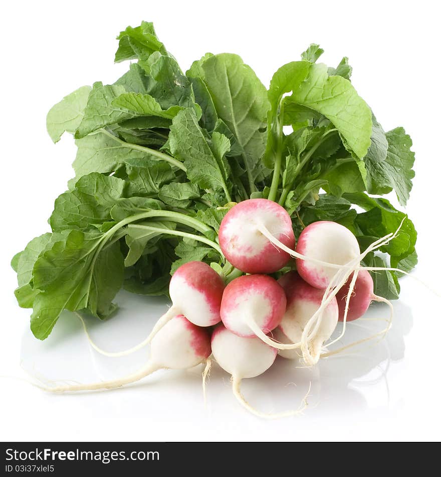 Fresh radishes isolated on white background