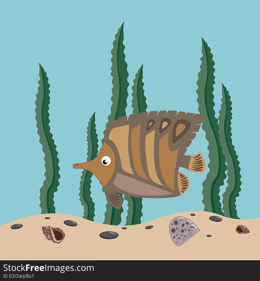 Funny brown fish swims in the sea