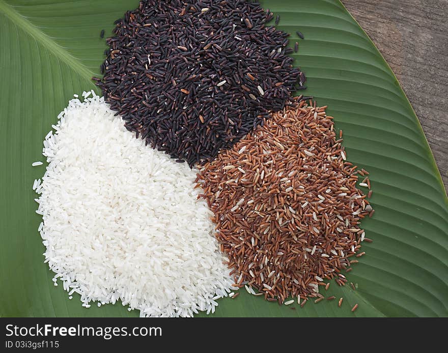 Three kind of asian rice on leaf.