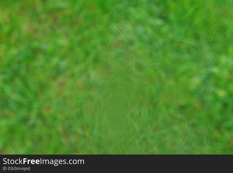 Grass Background