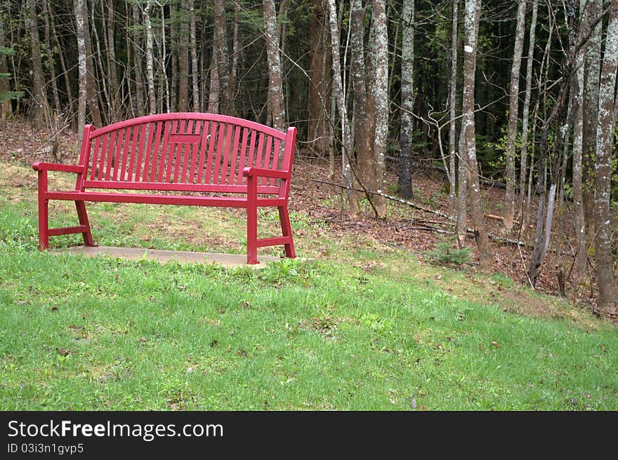 Red Park Bench in a woodland park