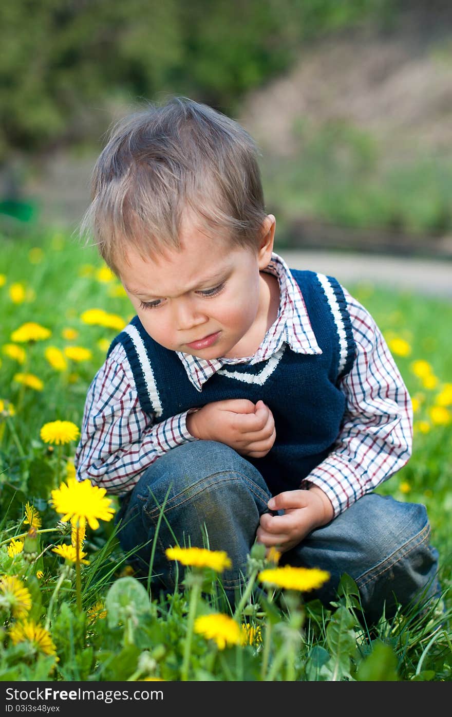 Boy With Dandelion