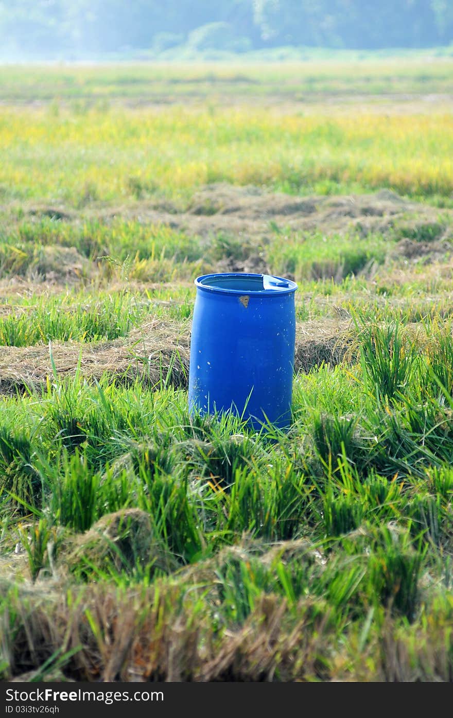 Blue tank in the middle of paddy field