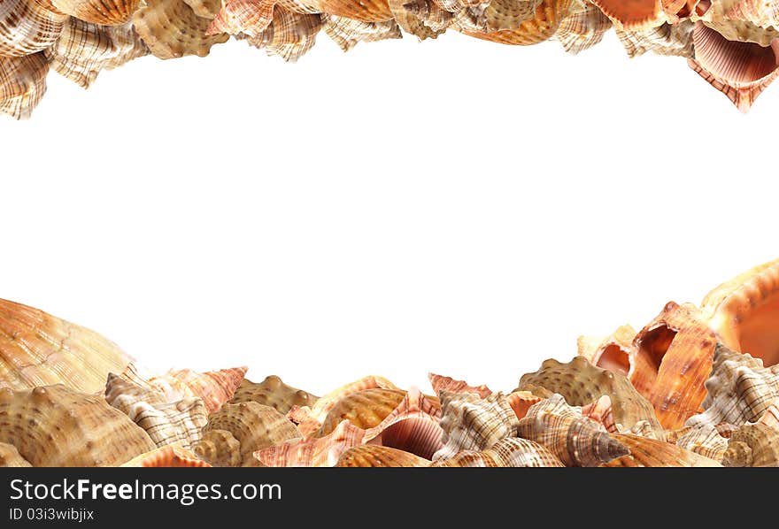 Seashell, starfish and sea-urchin on a sand background