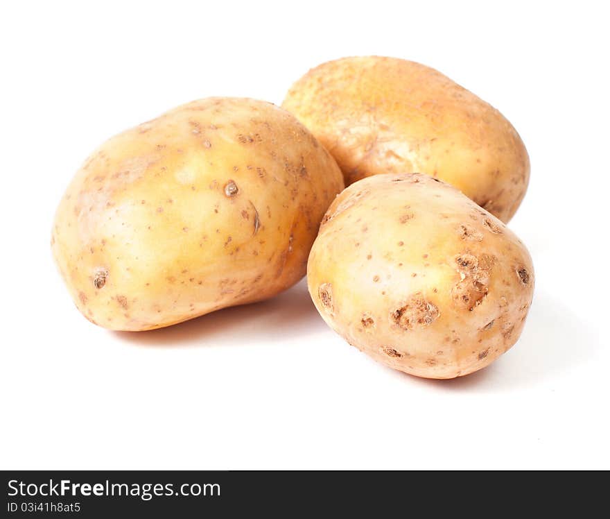 Yellow potato group