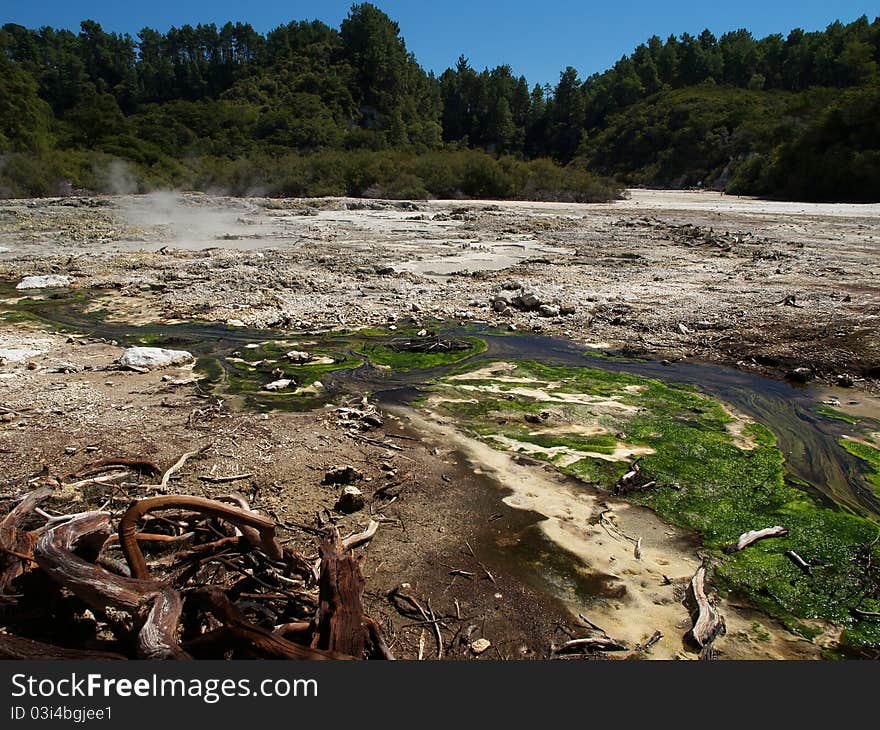 Waiotapu thermal area, New Zealand