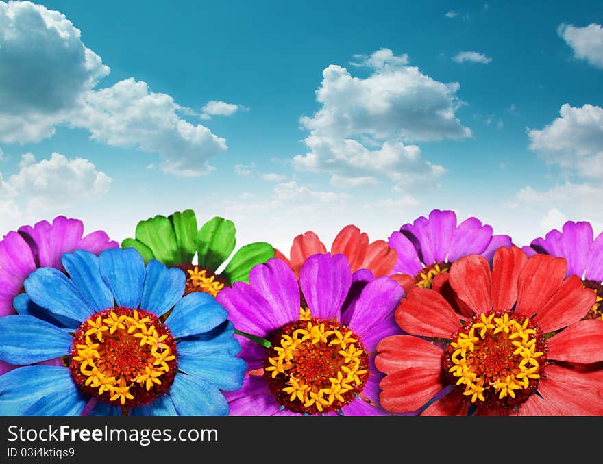 Floral background with blue sky