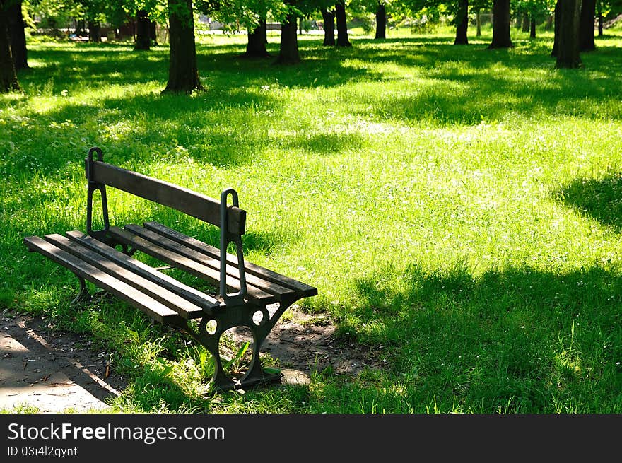 Spring morning. Green grass and leaves in park. Spring morning. Green grass and leaves in park