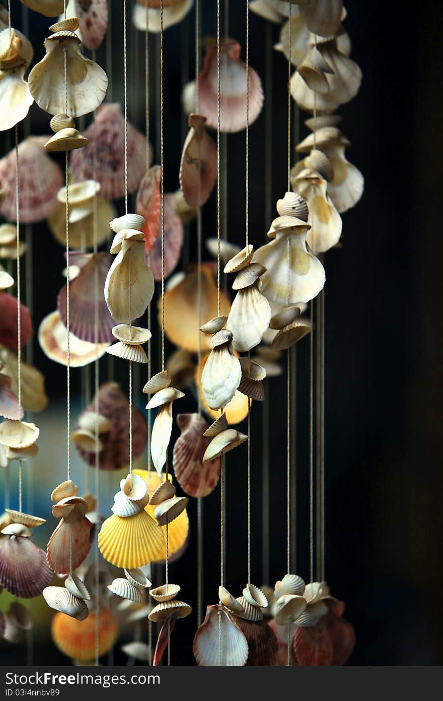 Dangling shells in a wind chime