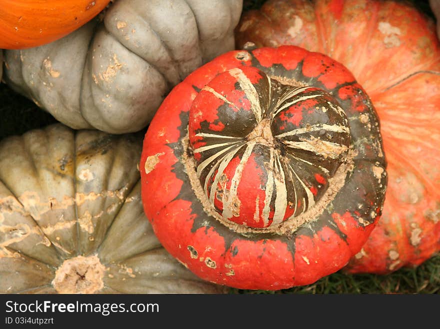 A pile of multicolored pumpkins