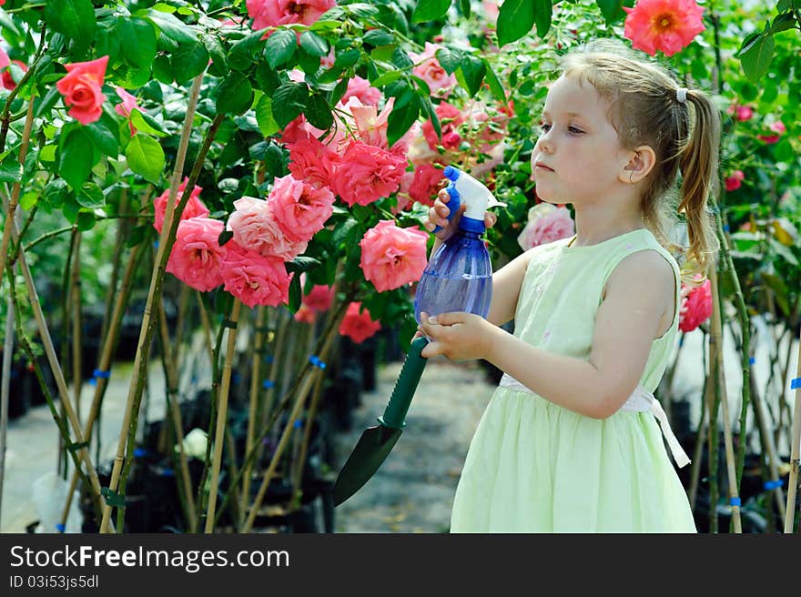 In a greenhouse