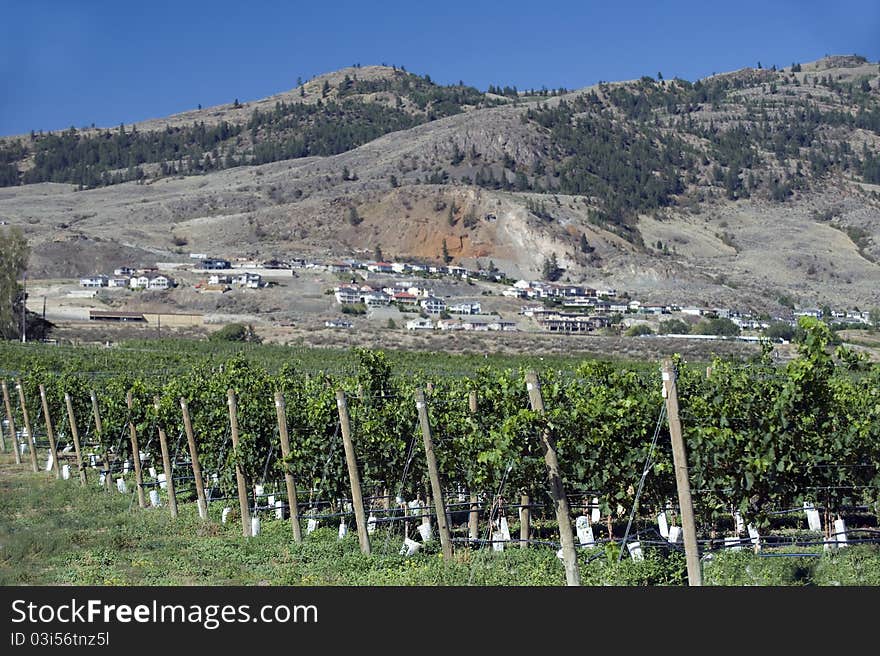 Osoyoos And Okanagan Lake