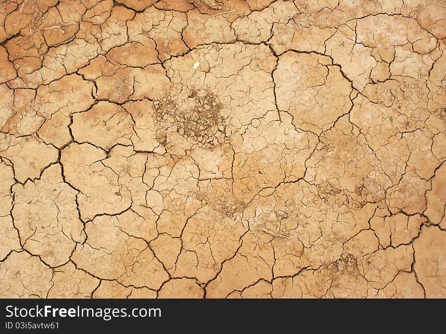 Drained ground, Mongolia