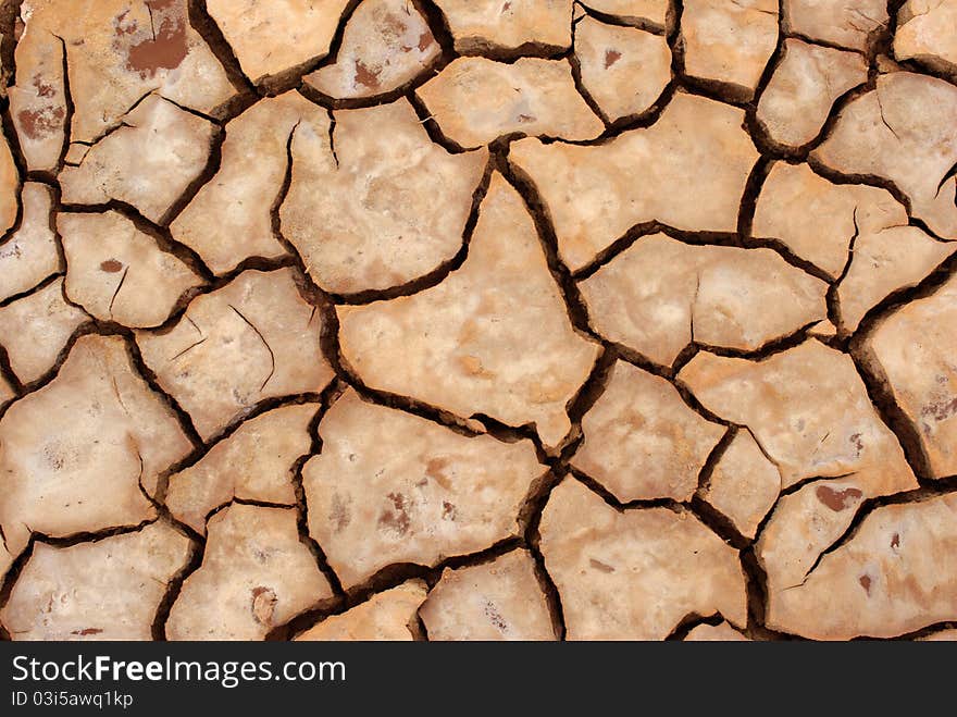 Drained ground, Mongolia