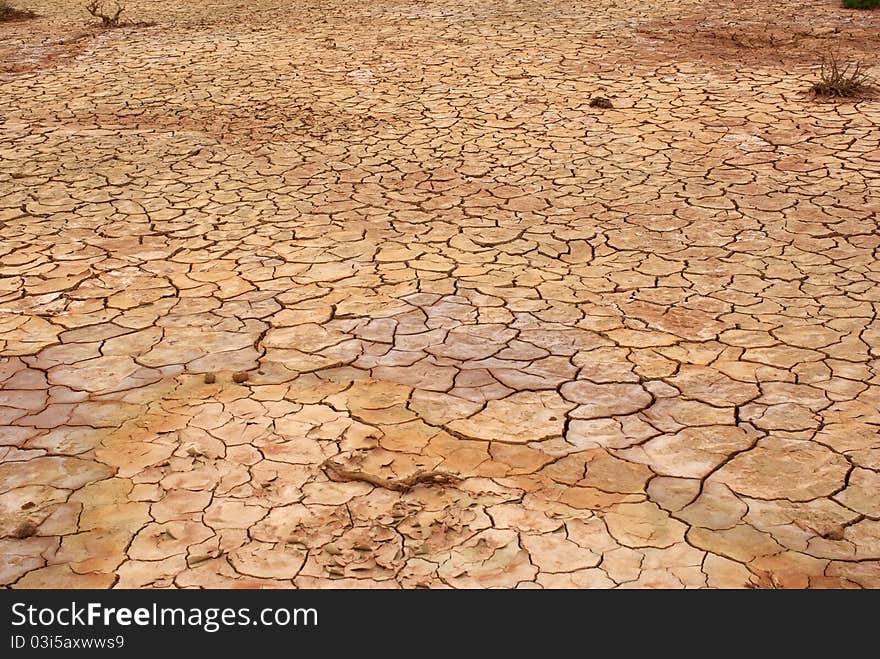 Drained ground, Mongolia