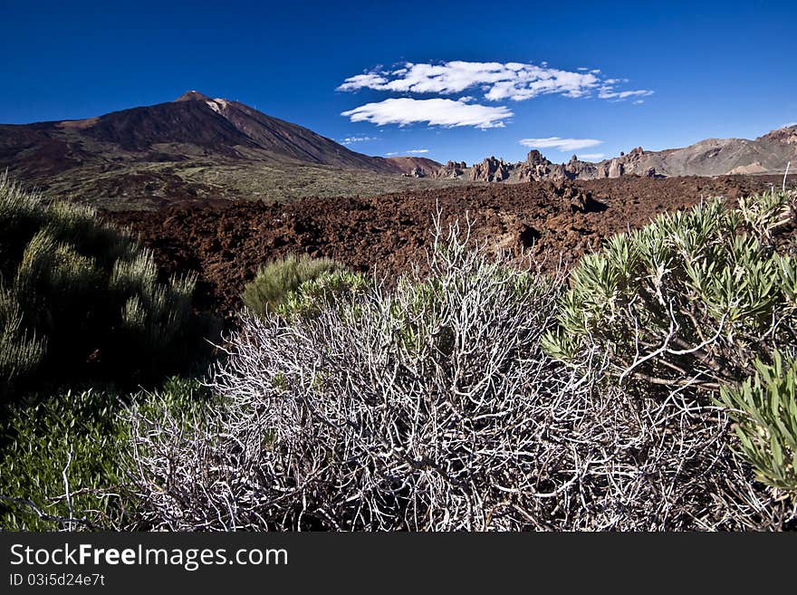 Teide - volcano landscape