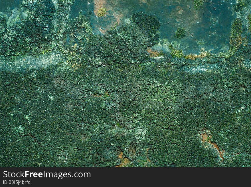 Green Surface Texture