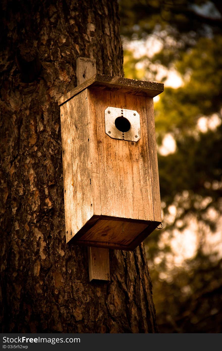 A nesting box on a tree in Sweden