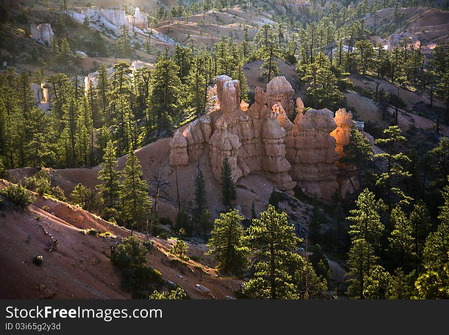 Beautiful landscape in Bryce Canyon with magnificent Stone formation like Amphitheater, temples, figures in afternoon light