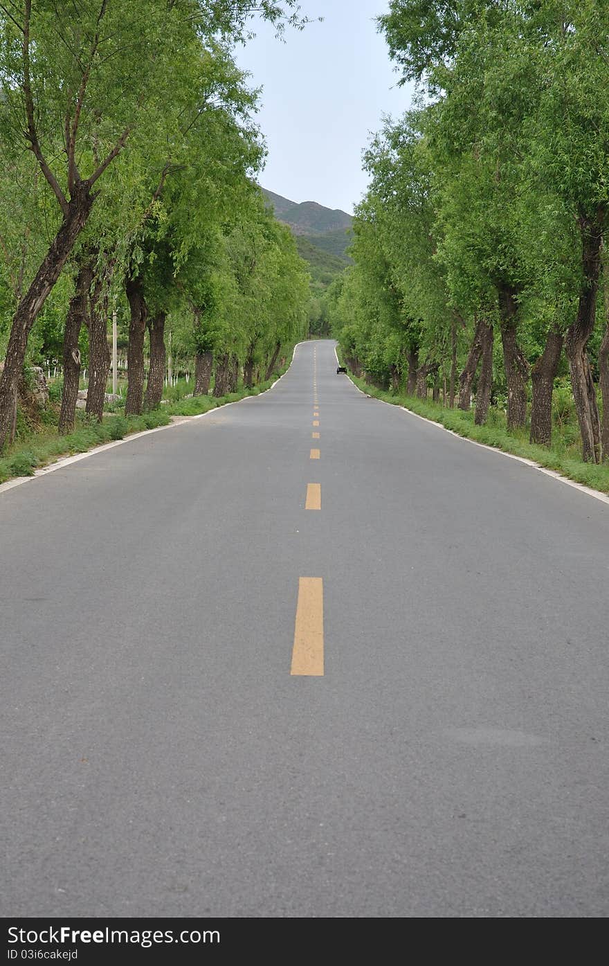 This is taken in rural area of a big city in early summer time. This is taken in rural area of a big city in early summer time