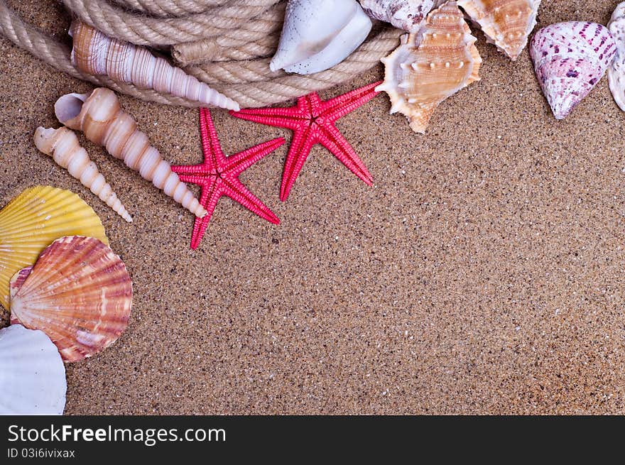 Seashells and starfish with sand as background. Seashells and starfish with sand as background