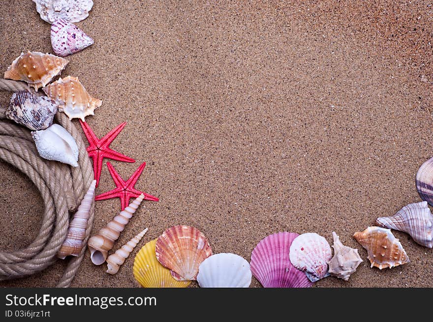 Seashells and starfish with sand as background. Seashells and starfish with sand as background