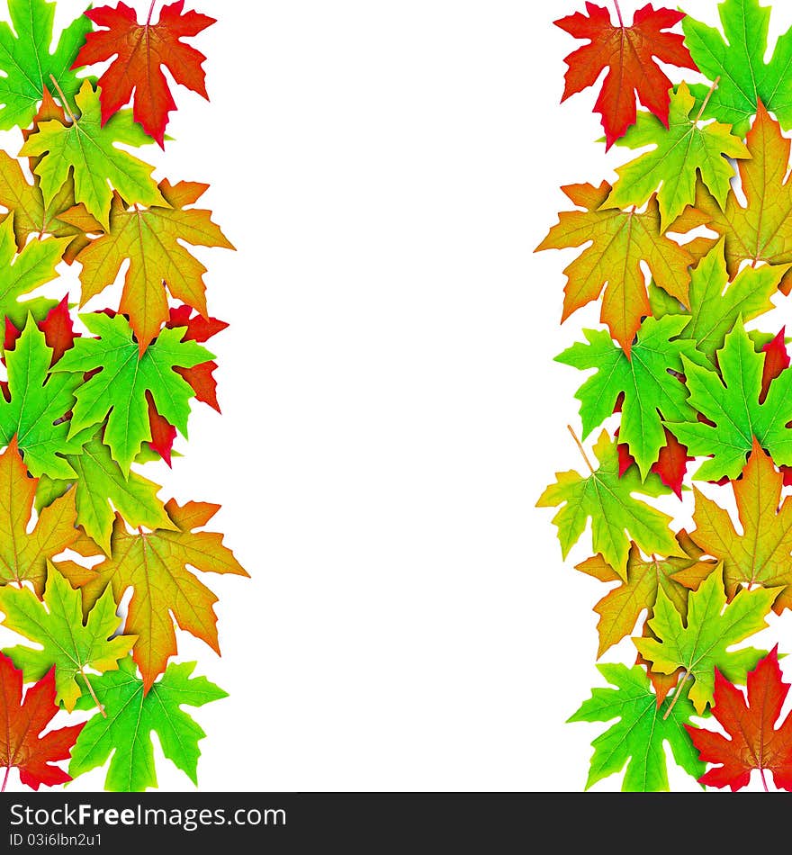 Fresh Spring Autumn Leaves Border