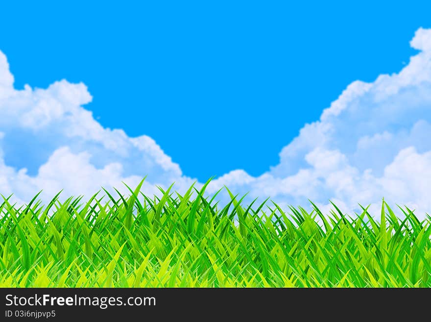 Grass and cloudy sky background